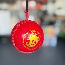 HDCC Hanging Balls - Synthetic