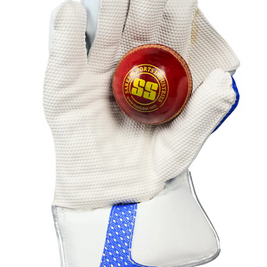TON Gutsy - Wicket Keeping Gloves