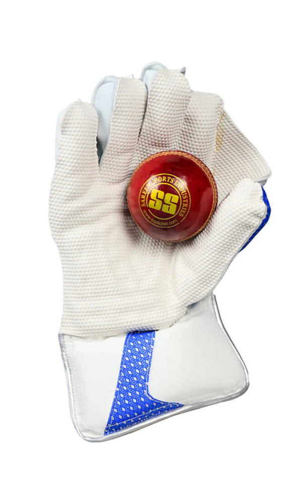 TON Gutsy - Wicket Keeping Gloves