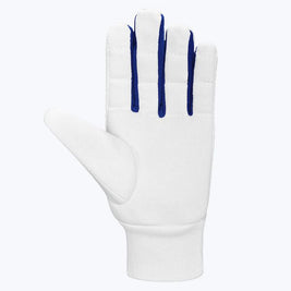 DSC Surge - Wicket Keeping Inners