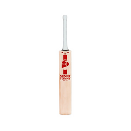 SG Arc 1.0 - English Willow Bat