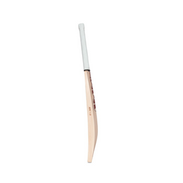 SG Arc 1.0 - English Willow Bat