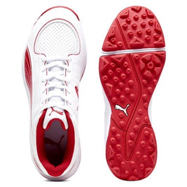 PUMA CRICKET SHOES