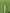 DSC XLITE 25 CRICKET BAT