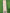 DSC XLITE 25 CRICKET BAT