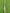 Kookaburra Empower Cricket Bat