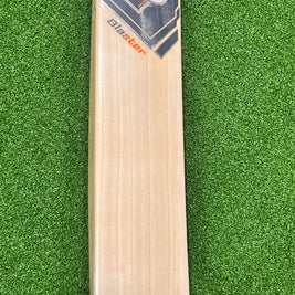 EM Blaster - EW Cricket Bat