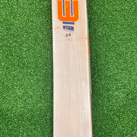 EM GT 2.0 Youth Cricket Bat