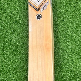 SM BEAST CRICKET BAT