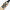 DSC XLITE 25 CRICKET BAT